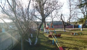 Un arbore pentru dăinuirea noastră