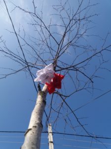 Ultima zi a mărţişorului.