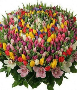 Felicitări cu ocazia zilei de naştere