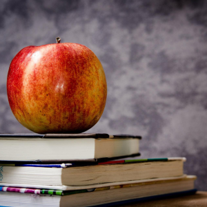 REPERE METODOLOGICE PRIVIND ORGANIZAREA PROCESULUI EDUCAȚIONAL ÎN INSTITUȚIILE DE EDUCAȚIE TIMPURIE ÎN ANUL DE STUDII 2021-2022