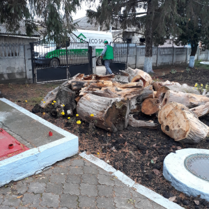 Campania ,,Colectăm deşeuri electrice şi electronice”