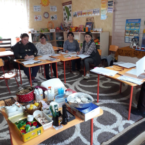 Oră metodică 11 noiembrie 2022