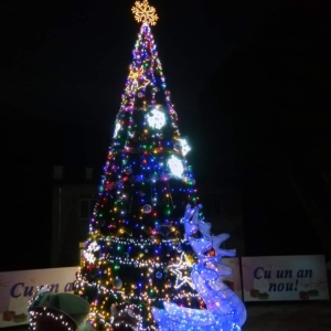 Mesaj de felicitare cu prilejul Sărbătorilor de iarnă, 2023-2024