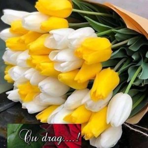 Daruri pentru mame cu prilejul zilei de 8 martie. Poezia „MAMA”