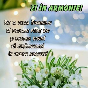 Mesaj de felicitare cu sosirea Zilei Internaţionale a Femeii-8 martie 2026